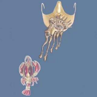 Telegram profile photo for 👁️ Schiaparelli 👁️