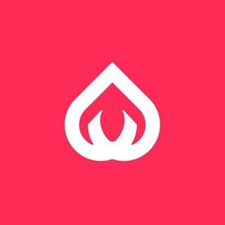 Telegram profile photo for B U N D L E ● Z E N™ 🧧
