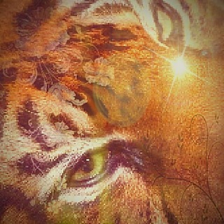 Telegram profile photo for kikki