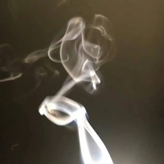 Telegram profile photo for xenviolence's archive