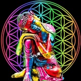 Telegram profile photo for Wissen