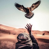 Telegram profile photo for Правила @Alihan_ejje