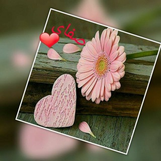 Telegram profile photo for صفای دل