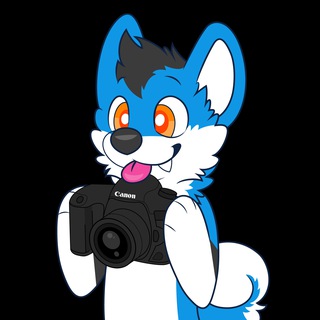 Telegram profile photo for Doktor Takes Photos