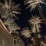 Telegram profile photo for القِواوةُ .