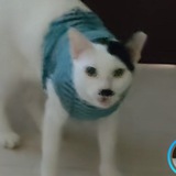 Telegram profile photo for Мраза