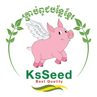 Telegram profile photo for គ្រាប់ពូជបន្លែខ្មែរ-KS SEED