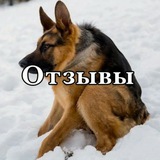 Telegram profile photo for Отзовник