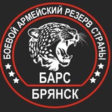 Telegram profile photo for «БАРС - БРЯНСК»