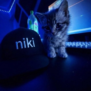 Telegram profile photo for nik1 xml