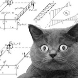 Telegram profile photo for BIM для самых маленьких