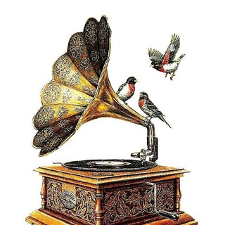 Telegram profile photo for موسیقی فاخر