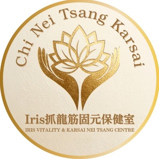 Telegram profile photo for 🐉Iris抓龍筋固元保健室(後備Channel)