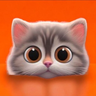 Telegram profile photo for КотоМания