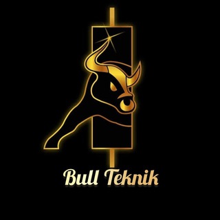 Telegram profile photo for Bull Technic