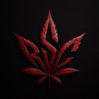 Telegram profile photo for Russian Style Crazy