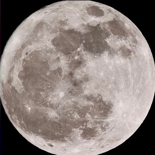 Telegram profile photo for сад изящных слов