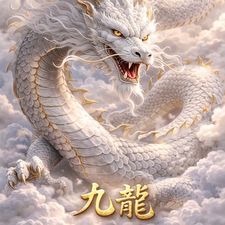 Telegram profile photo for 【九龍】新澳心水探討