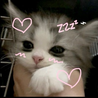 Telegram profile photo for восходящая звезда