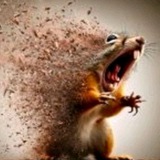 Telegram profile photo for Прайс Бетона