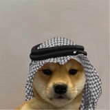 Telegram profile photo for jax alpha
