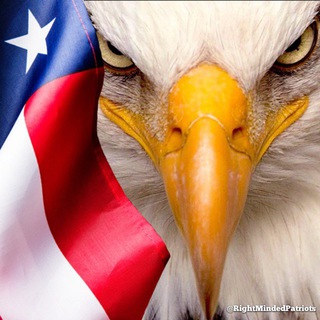 Telegram profile photo for RightMindedPatriots - Channel