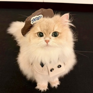 Telegram profile photo for 🇹🇼台灣外送茶南部班表