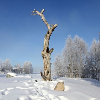 Telegram profile photo for Karjalan kieli joka päivä👍😍
