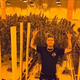 Telegram profile photo for Форсаж