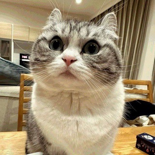 Telegram profile photo for Пивная Гашика