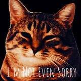 Telegram profile photo for I'm Not Even Sorry / Безсоромники