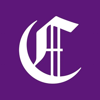 Telegram profile photo for The Cryptonomist