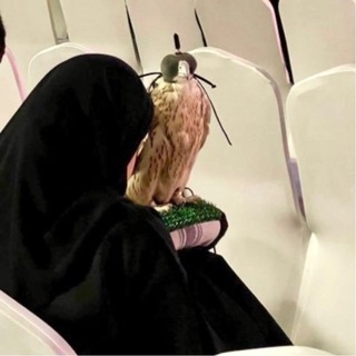 Telegram profile photo for الحسنَاء