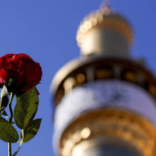 Telegram profile photo for |غبارِحرم|