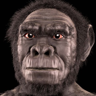 Telegram profile photo for HomoHabilis