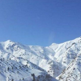 Telegram profile photo for CHODAK YANGILIKLARI CHODAK NEWS CHODAK UZ CHODAK NEWS 24 POP TUMANI🇺🇿