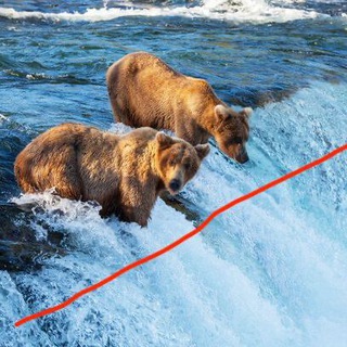 Telegram profile photo for Торговля на инфляционном медвежьем рынке