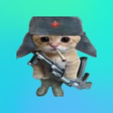 Telegram profile photo for Покупка звезд (stars) вояж.