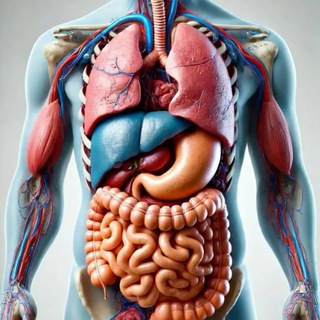 Telegram profile photo for ANATOMY🫀