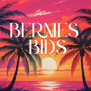 Telegram profile photo for Bernies Bids