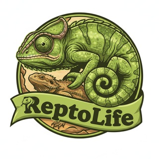 Telegram profile photo for ReptoLife🐍