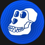 Telegram profile photo for DexRocket ApeCoin