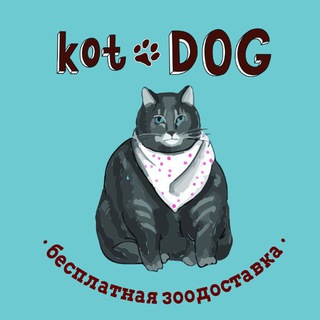 Telegram profile photo for KotDOG - КАНАЛ🐈