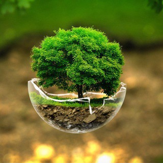 Telegram profile photo for Nature & Landscape World