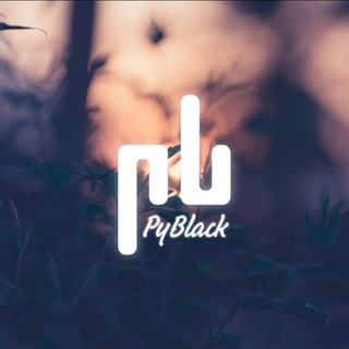 Telegram profile photo for PyBlack | Learn Python
