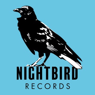 Telegram profile photo for Lançamentos da Nightbird