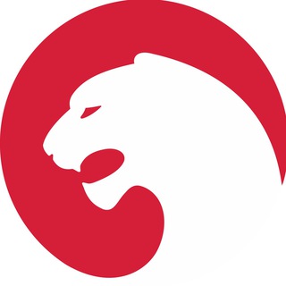 Telegram profile photo for Закупки ГК Ирбис