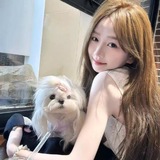 Telegram profile photo for 苏州抓牛牛女仆恋爱体验测评