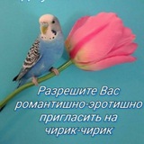 Telegram profile photo for Лжец и Татник