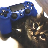 Telegram profile photo for II. Respawn